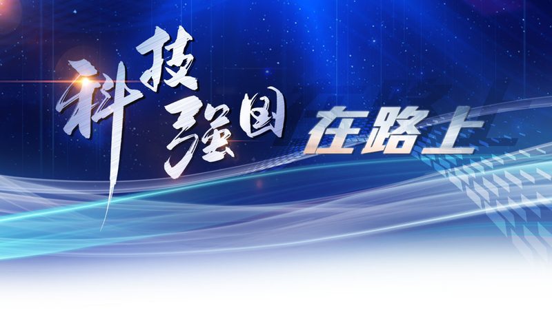 以某省某县为例，该县通过农村信息化建设，实现了以下成果：