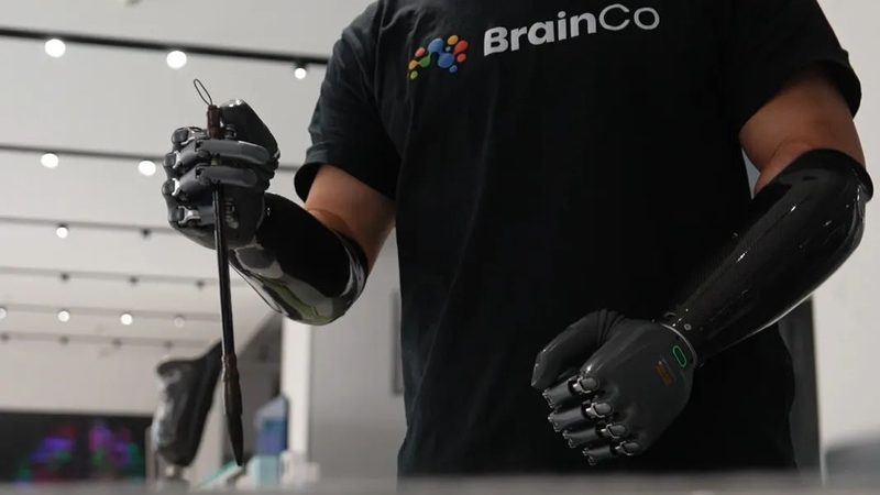 功能对比表：批发采购中的关键考量因素**